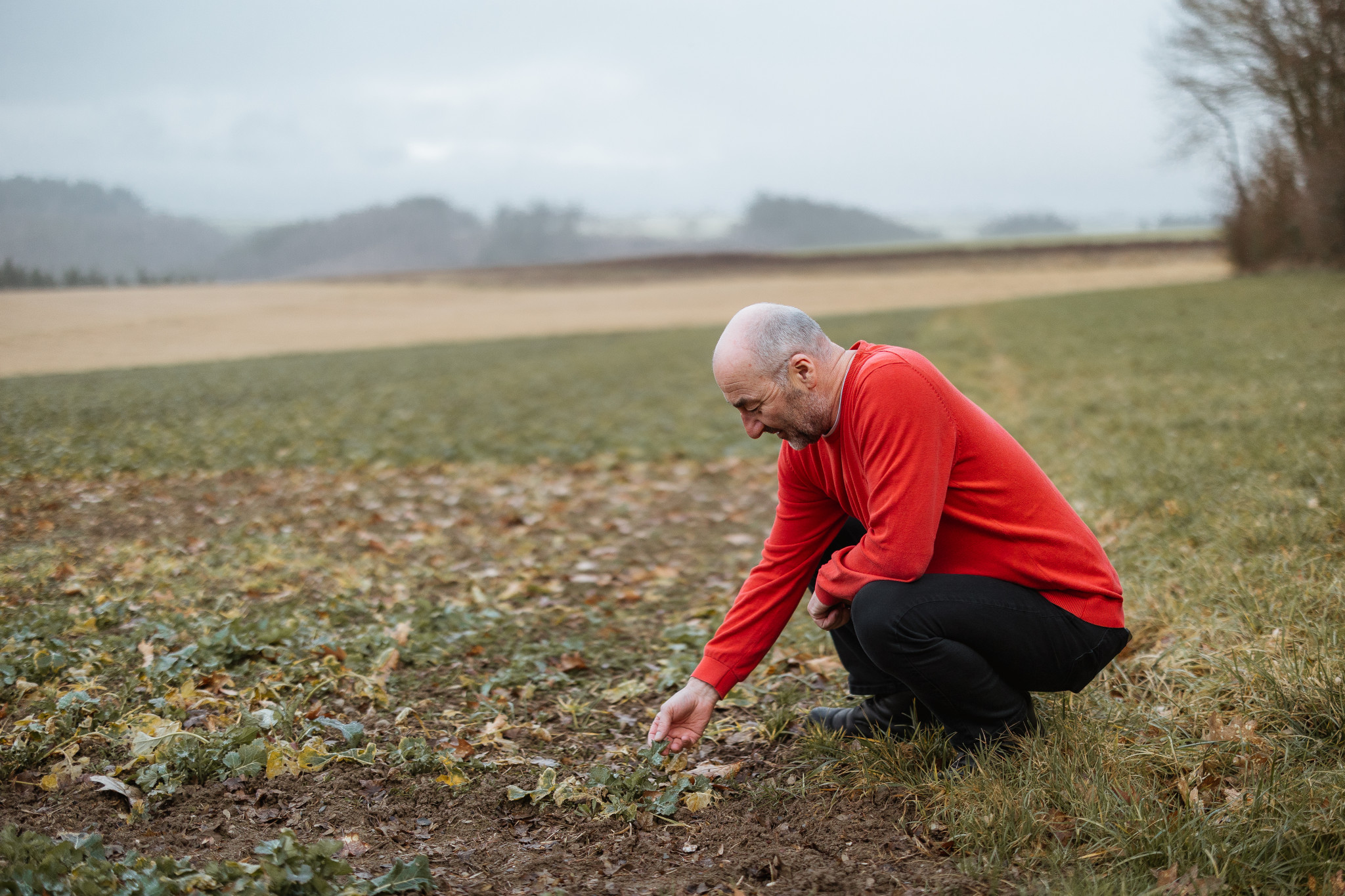 Regenerative Landwirtschaft: Warum Herbert Zetner warnt, dass wir trotz voller Teller verhungern könnten